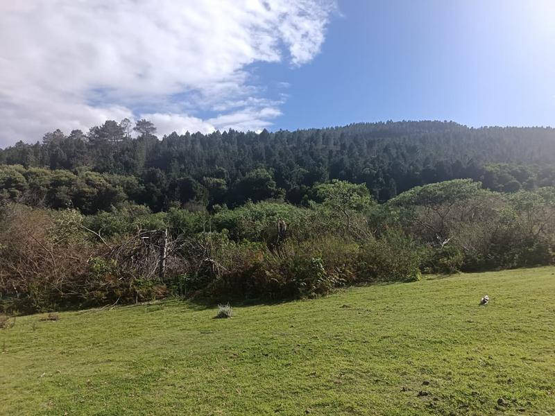 0 Bedroom Property for Sale in Napier Western Cape